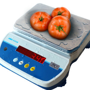 Aqua Washdown Scale | Adam WBW
