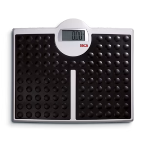 Seca 813 Floor Scale